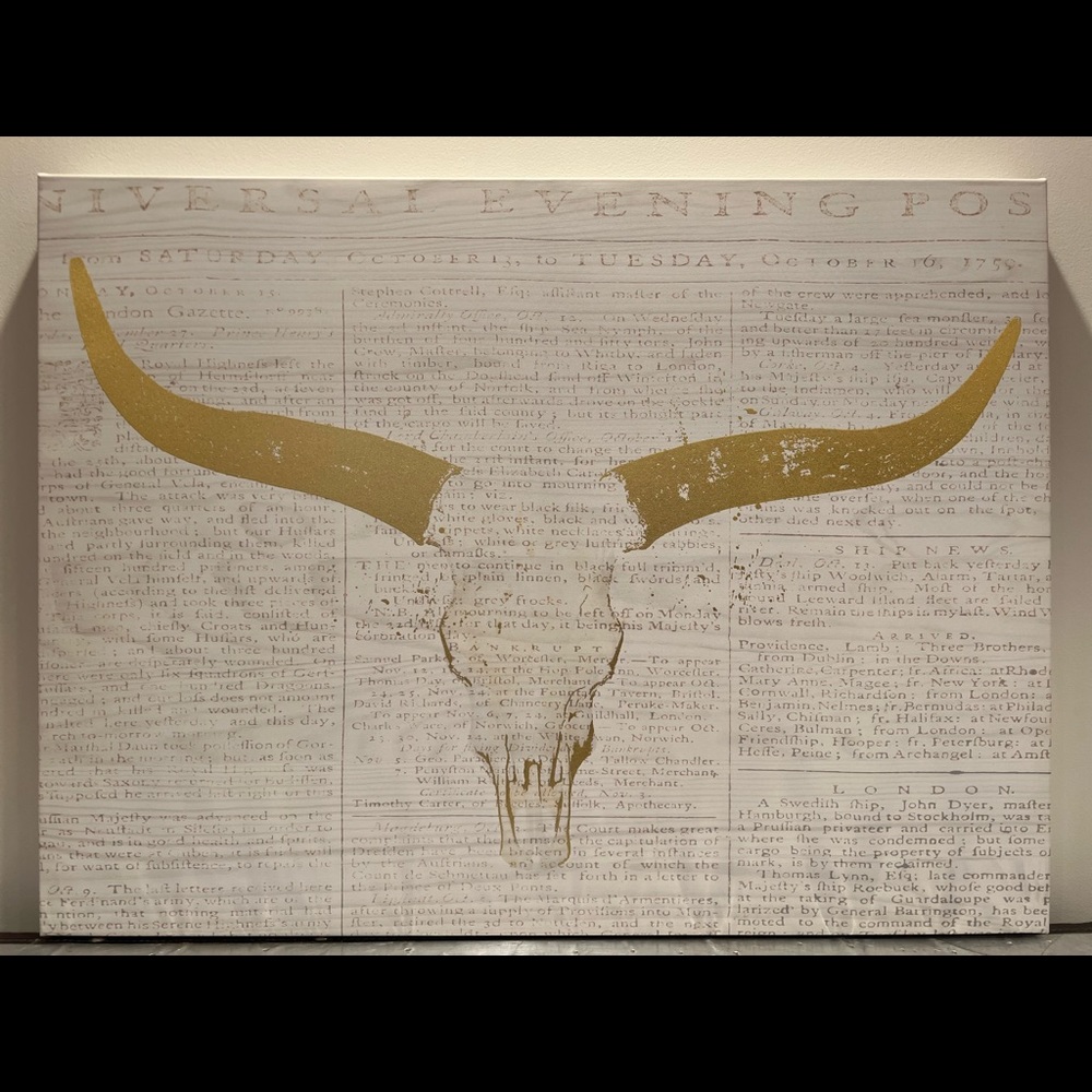 Southwest/Western Canvass Print . White, Gold and Grey- Excellent Condition